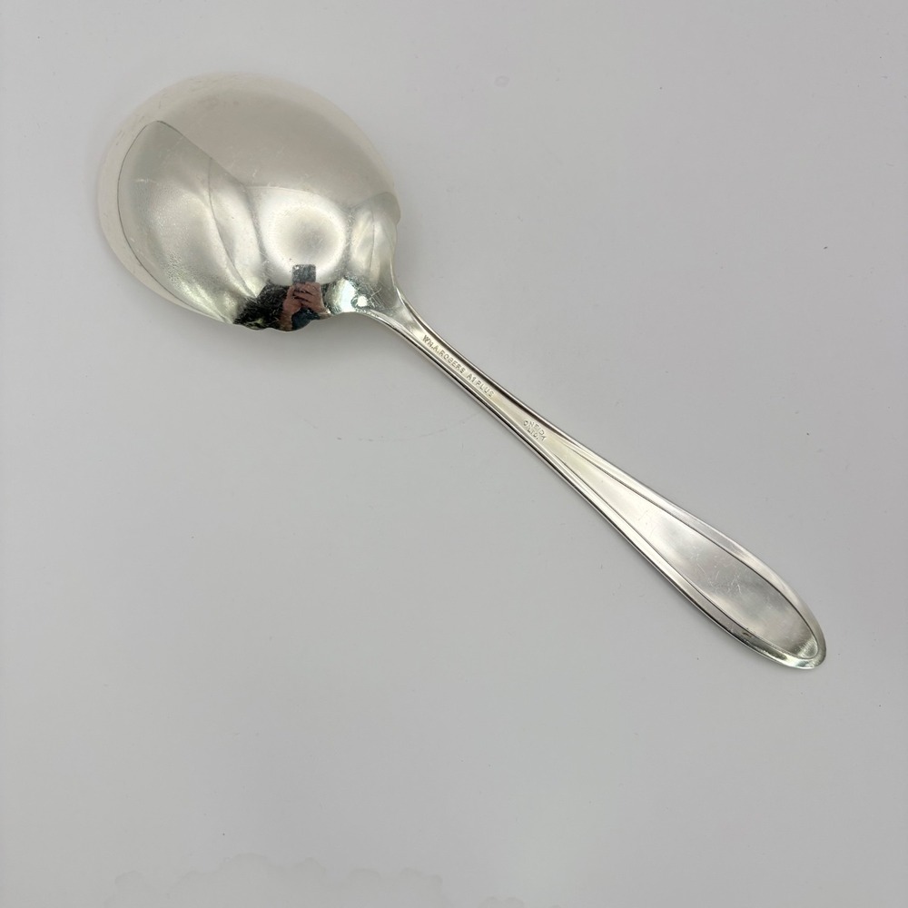 Vintage Oneida Wm Rogers Ramona Lakewood Brentwood Large 9" Serving Spoon - Picture 2 of 3